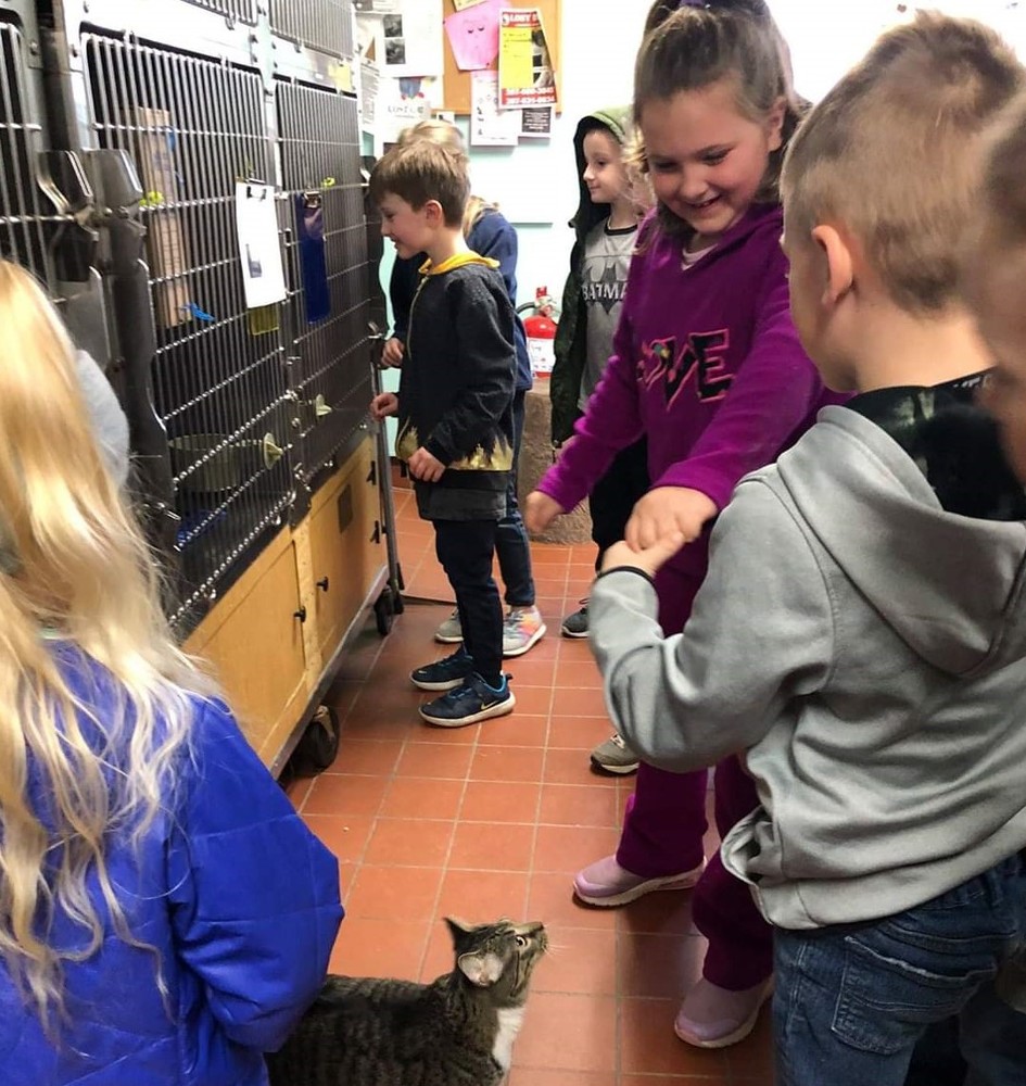 Mrs. Vafiades' class visit the Old Town Animal Orphanage!