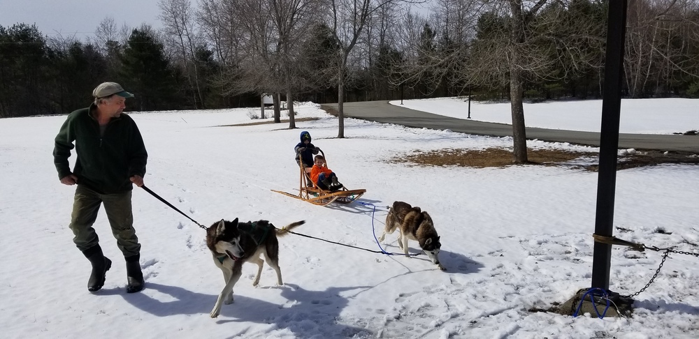 A dog sled ride for pre-k kids