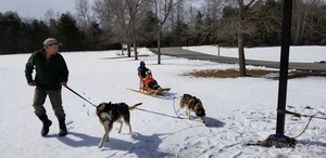 A dog sled team visits the pre-k class!