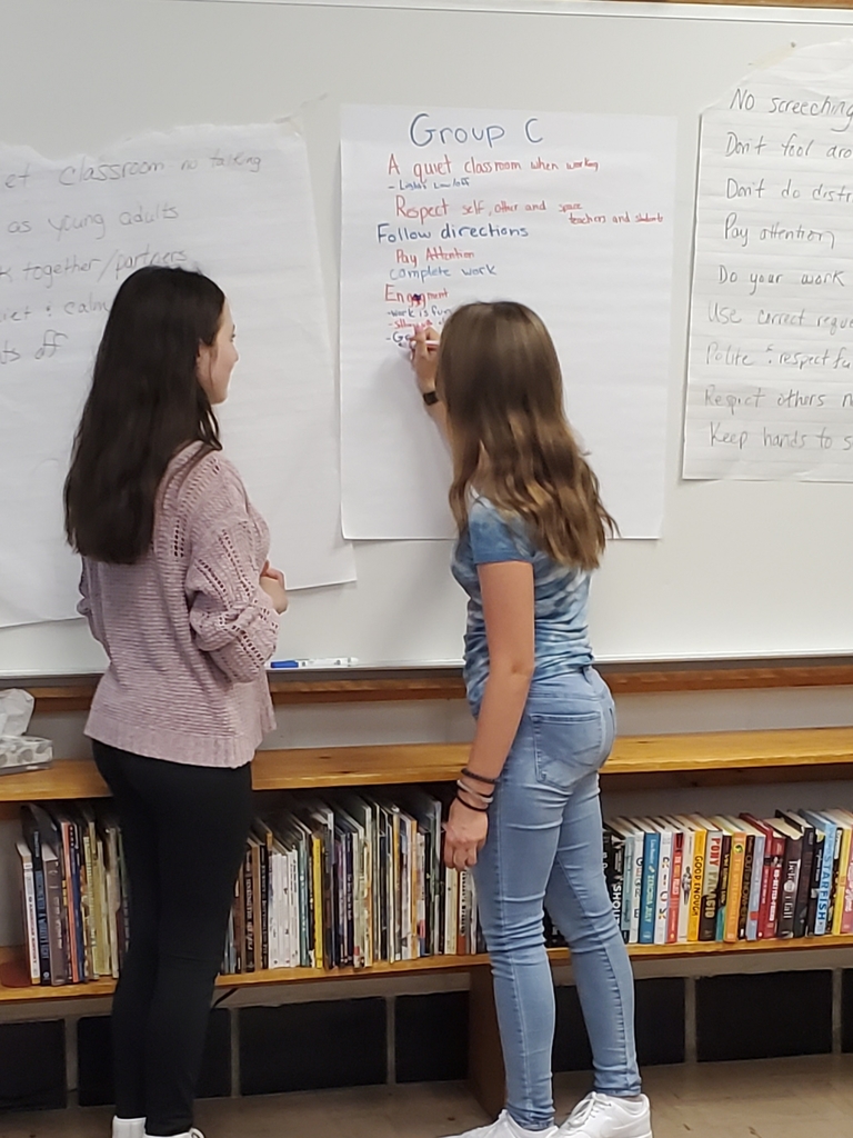 7th Grade Puffins Write Classroom Constitution