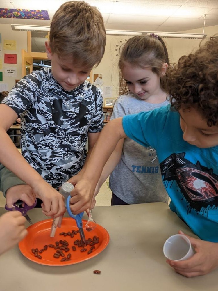 Students use different objects as bird beaks to pick up seeds