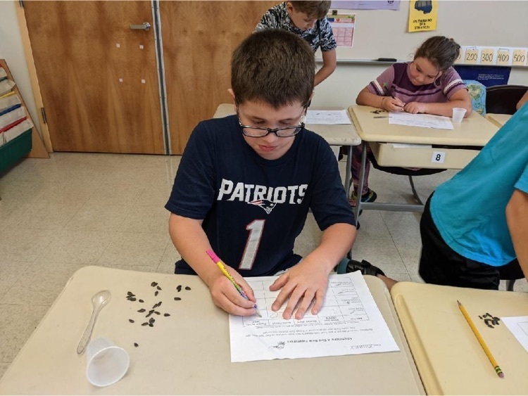 Student records scientific observations 