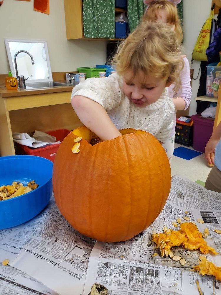 Students scoop out pumpkins guts 