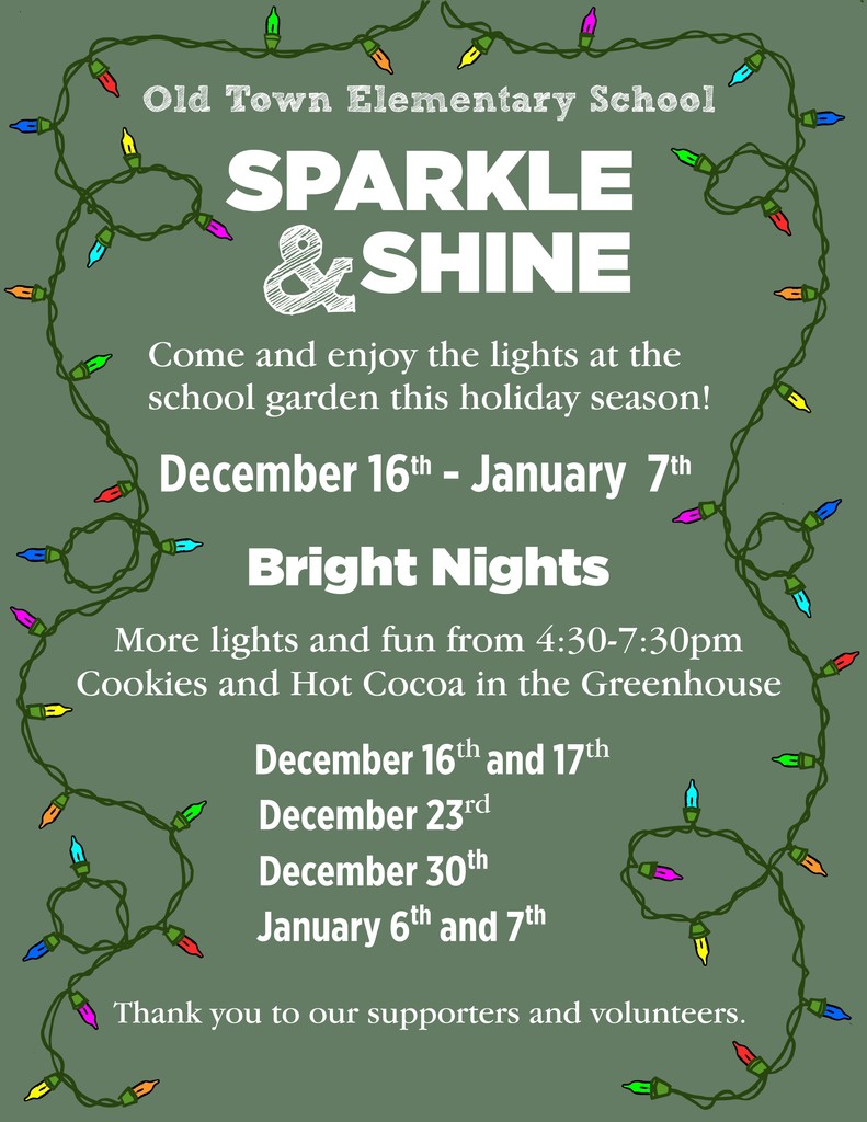 Sparkle and Shine Bright Nights flyer