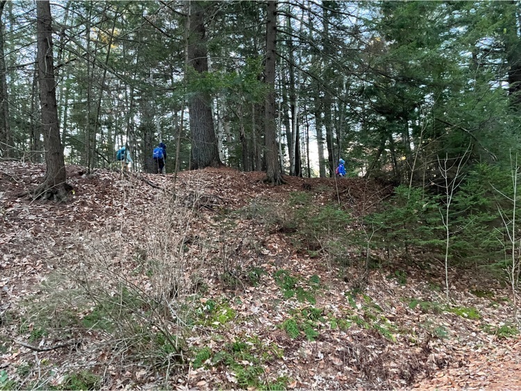 students and staff walking on a trail in the woods along a ridge