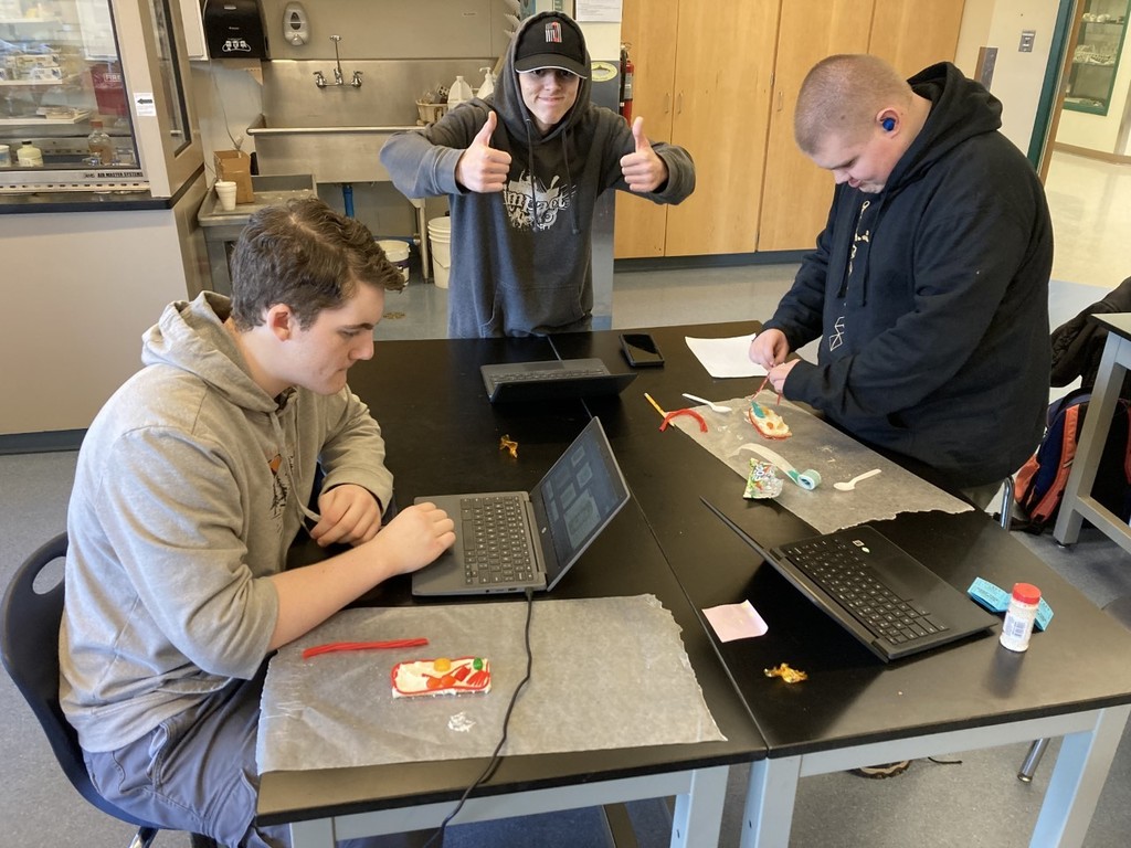 Students and Cells