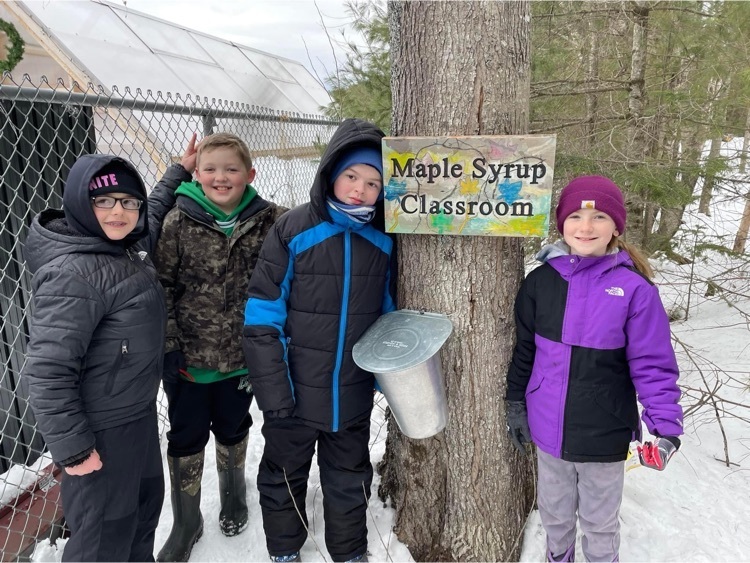 students stand by a tapped maple tree and a maple syrup Classroom sign