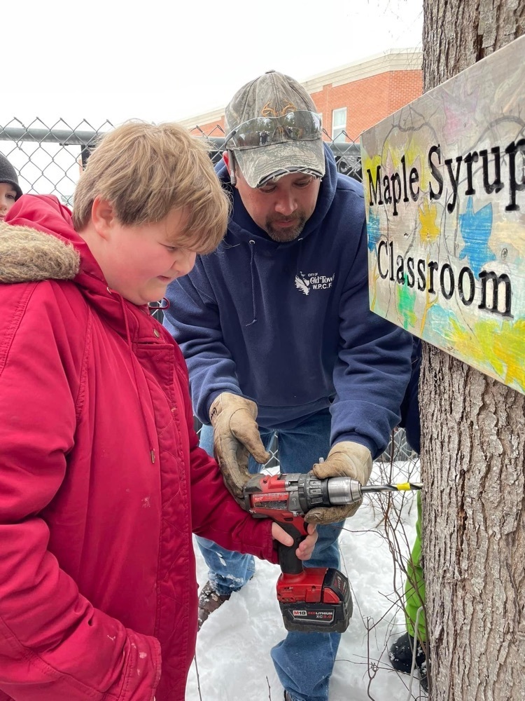 student helps and adult tap a mole tree with a drill